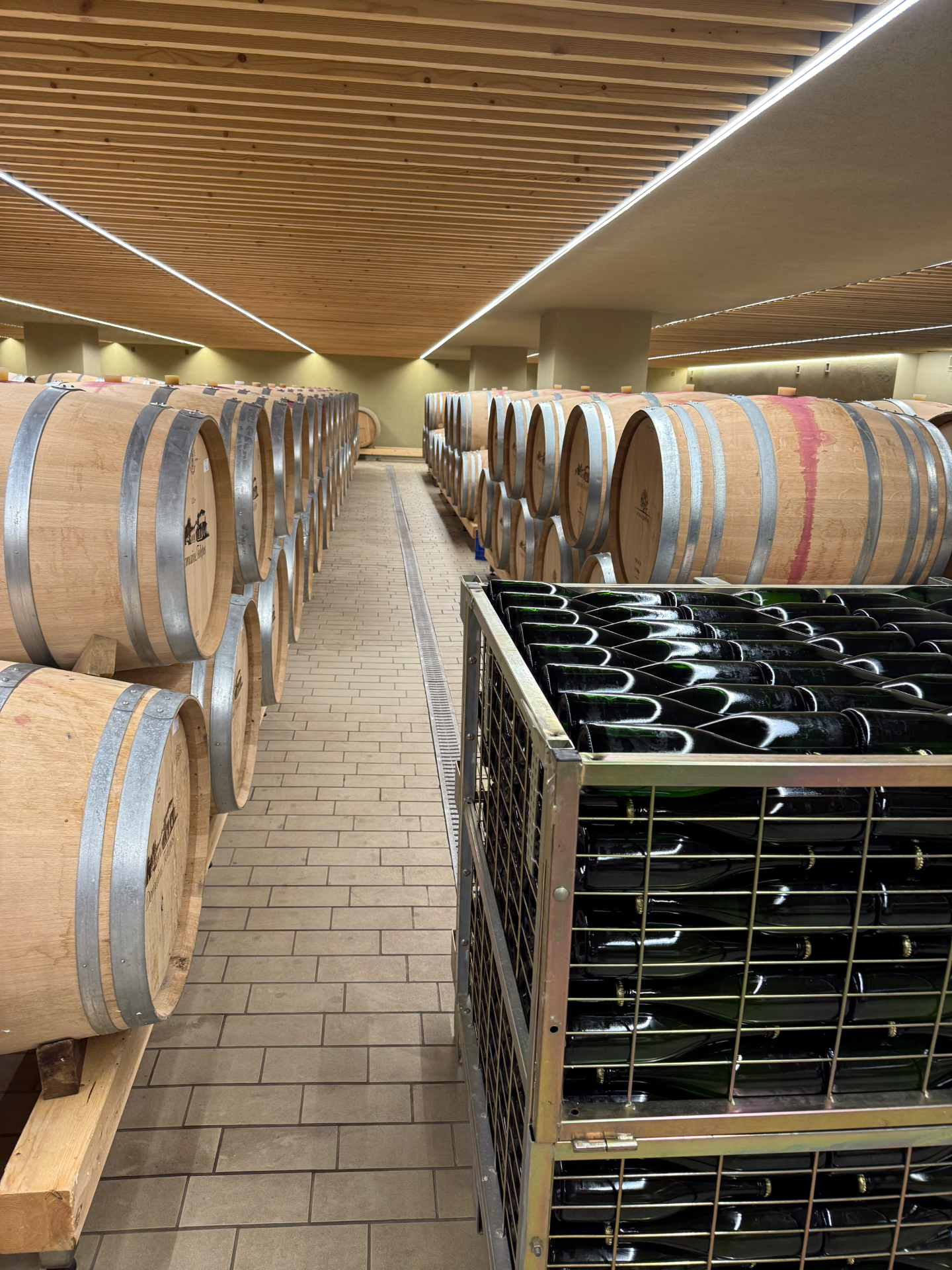Oak barrels aging wine in the underground cellar at Tselepos Winery in Arcadia